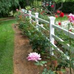 Three-Rail-Ranch-Style-Front-Yard-500x640