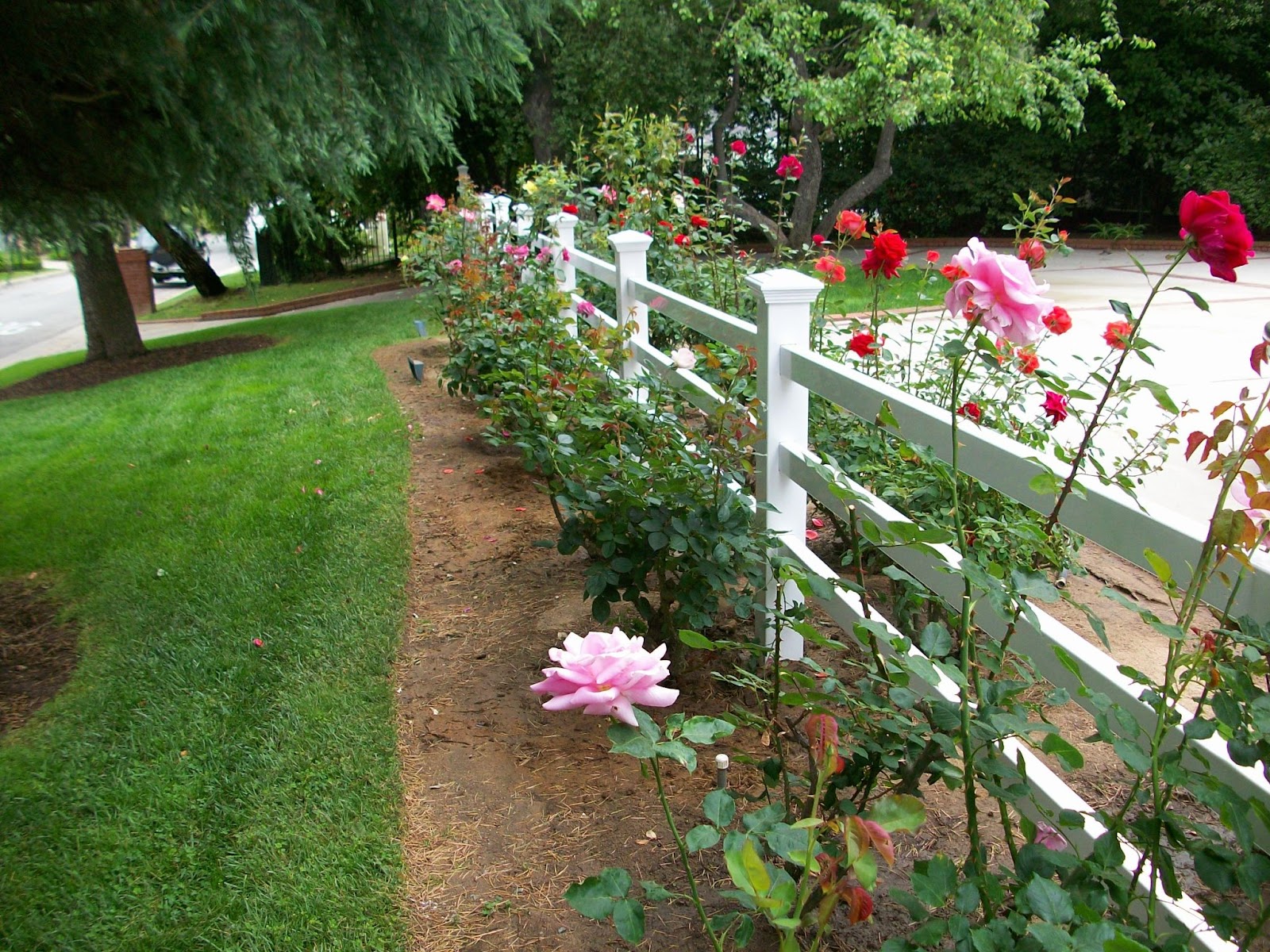 ranch style fence