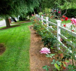 Horizontal Vinyl Fencing